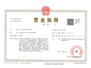 山东方原实业集团有限公司