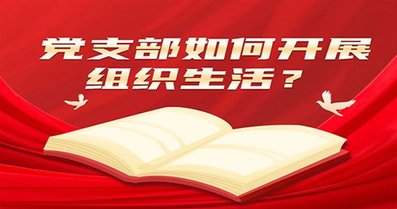 方原红·创先锋｜党支部如何开展组织生活？